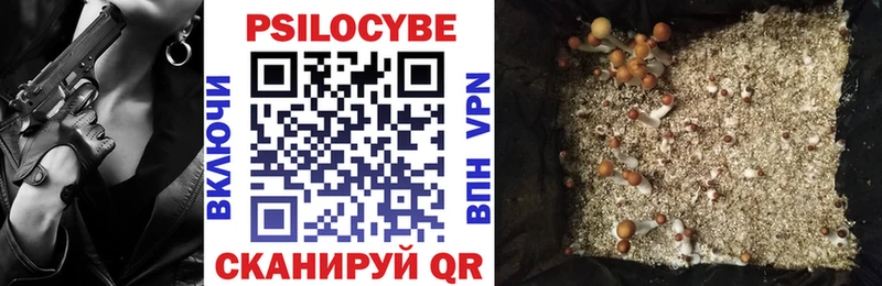 Купить закладки  Кизляр  Псилоцибиновые грибы GOLDEN TEACHER 